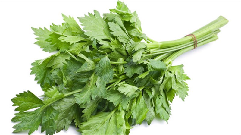 telos-sto-prasino-seleri