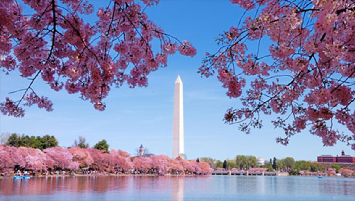 ta-kalutera-meri-ston-kosmo-gia-na-thaumasete-ta-anthismena-louloudia