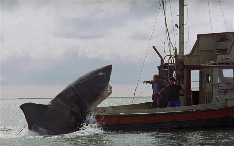 ta-sagonia-tou-karxaria-meta-tis-thalasses-oute-oi-operes-prosferoun-asfaleia