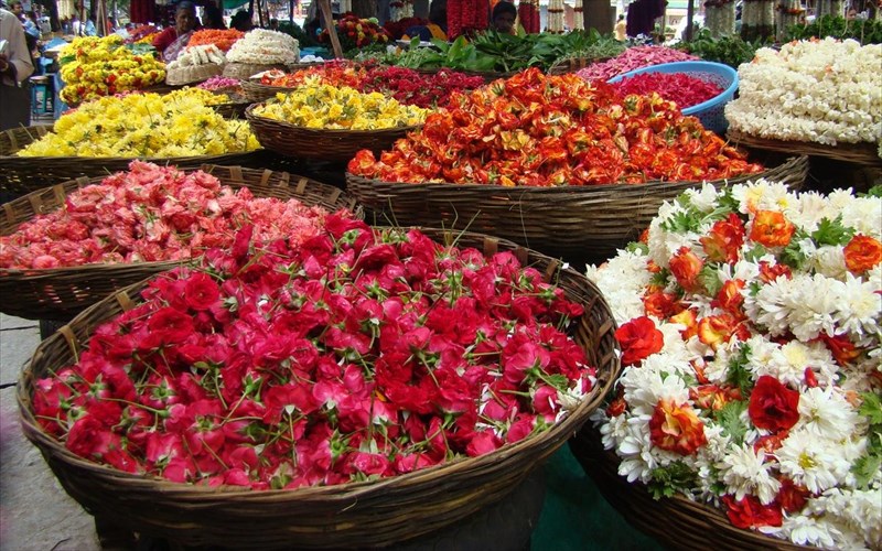 stin-omonoia-irthe-i-anoiksi-anoiksi