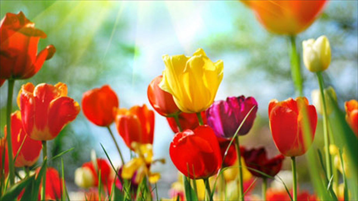 deka-tragoudia-pou-murizoun-anoiksi