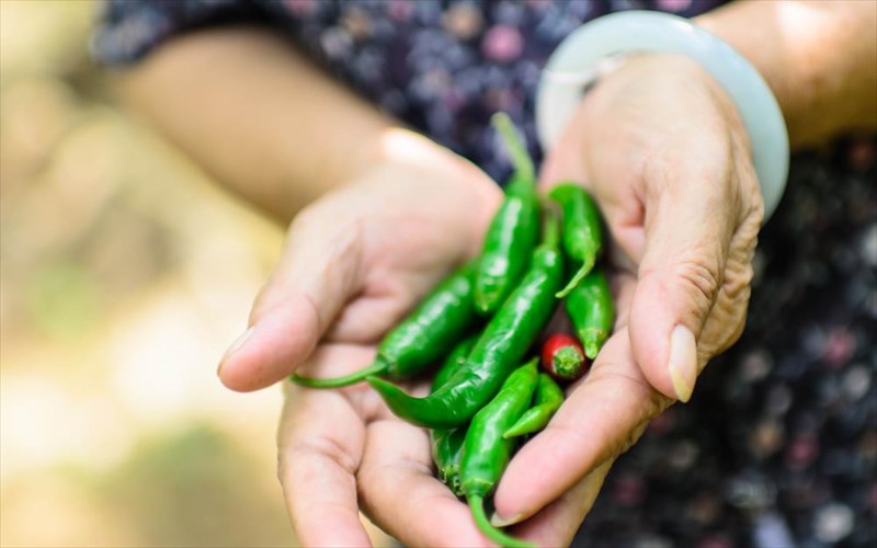 dorean-apolauseis-pou-tha-sas-ekpliksoun-se-ksenes-xores