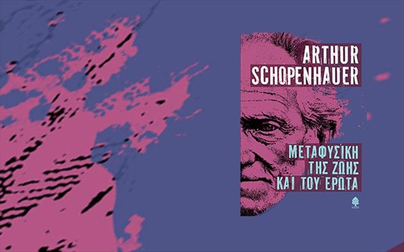 tessera-apo-ta-themeliodi-dokimia-tou-sopenxaouer-apo-ton-kedro