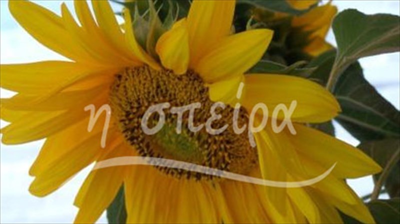 dimiourgiki-pasxalini-sunantisi-gia-paidia-kai-goneis