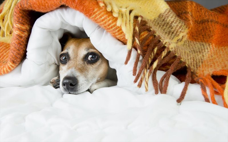 giati-kapoioi-kruonoume-perissotero