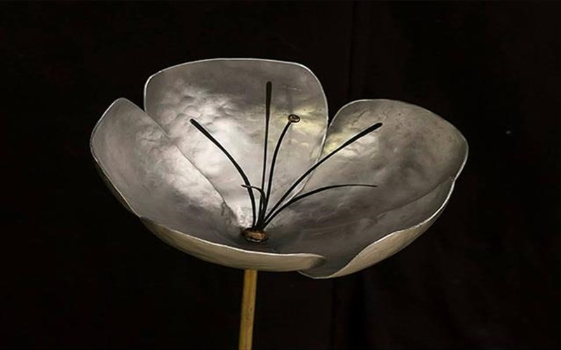 aixmalotizontas-to-fos-futikos-kai-udatinos-kosmos-sto-giapi