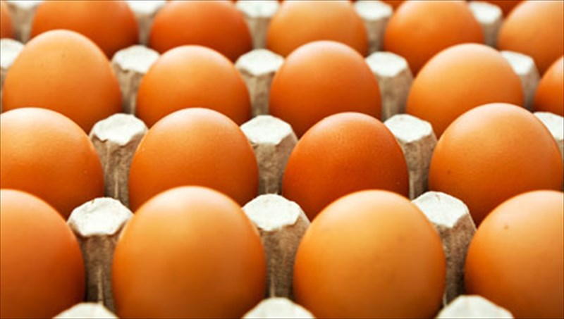 oli-i-alitheia-gia-7-trofes-pou-mas-exoun-mperdepsei-trofes-pou-mas-exoun-mperdepsei