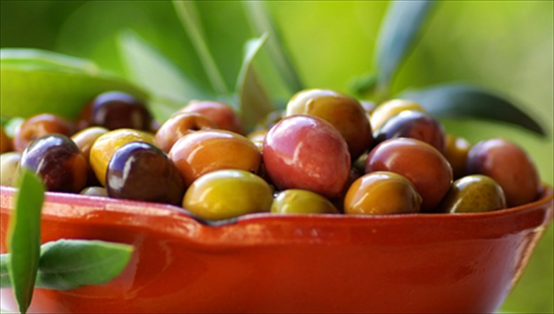 ntokimanter-kritikis-diatrofis-me-odigo-ton-gianni-ploutarxo