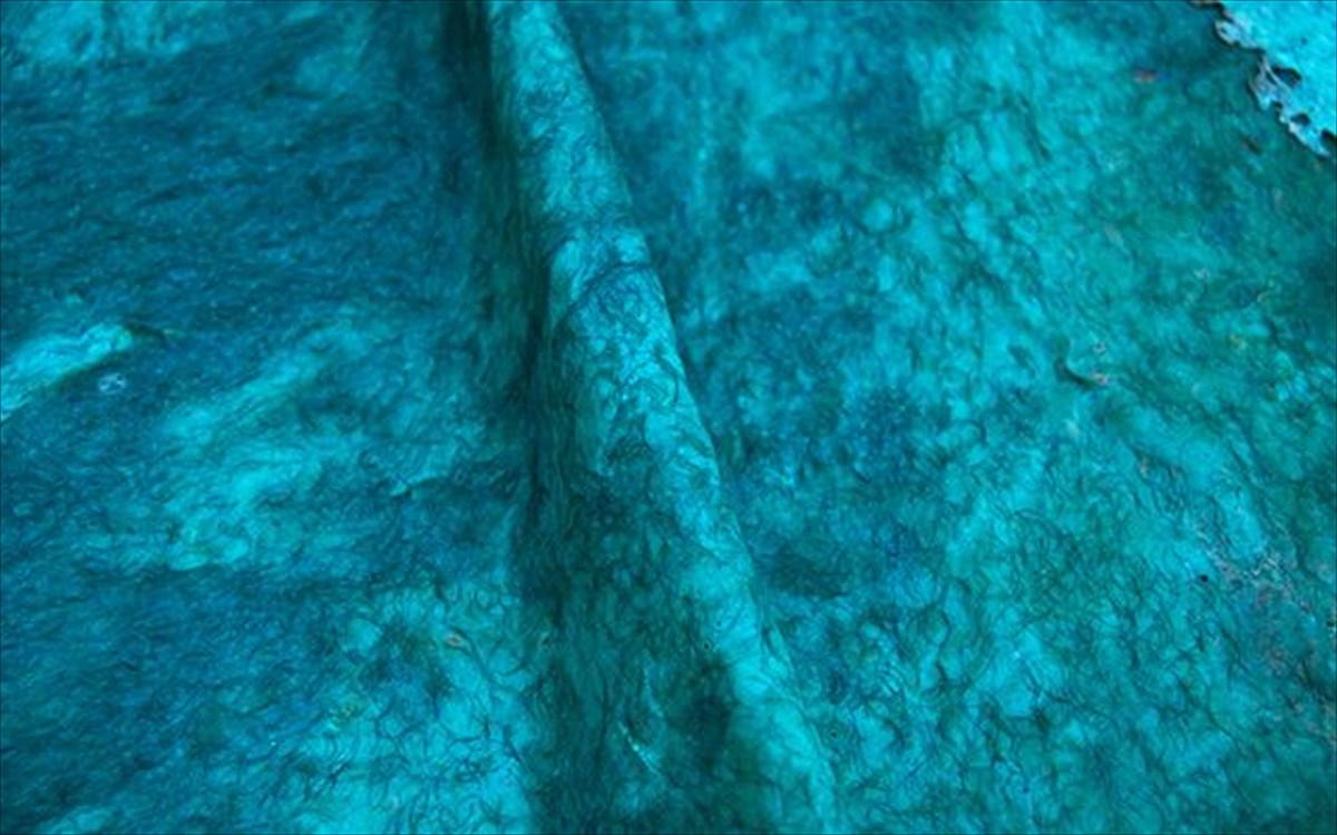 pillow-swallow-hollow-yellow-artwall-athens