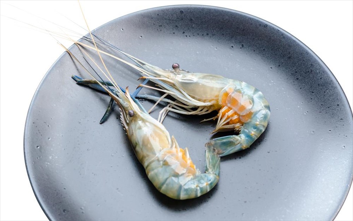 garides-piato-estiatorio