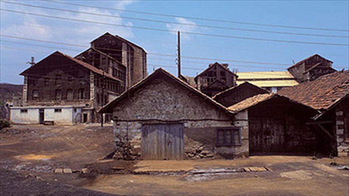 laurio-ta-skinika-mias-parastasis