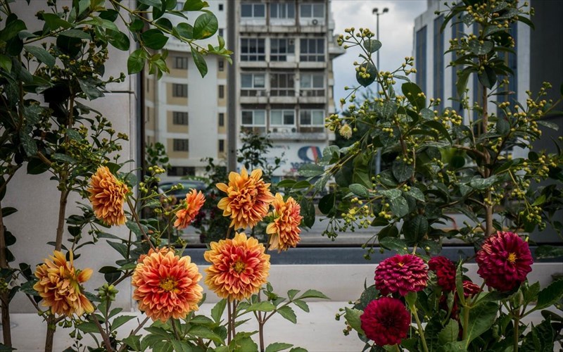 asimantes-stigmes-me-simasia-stin-estudio-gallery