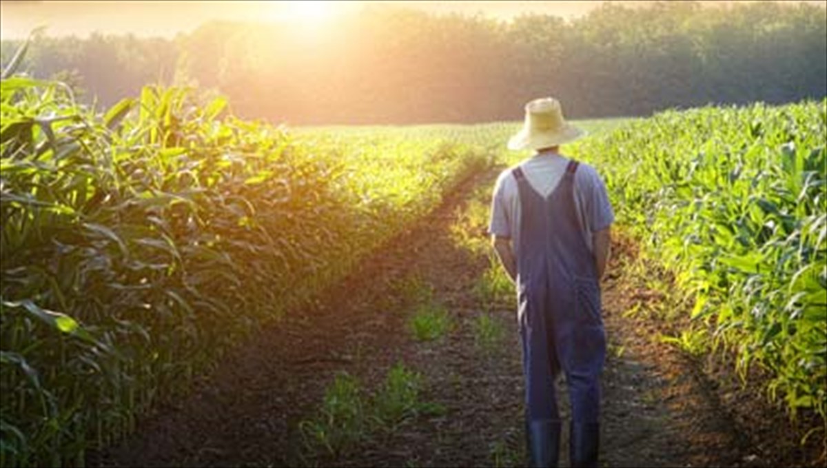 i-apantisi-sti-krisi-einai-i-agrotiki-paragogi-agrotiki-paragogi