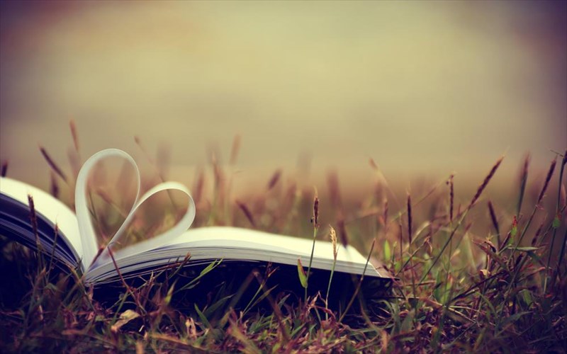 bazaar-bibliou-ston-poluxoro-metaixmio