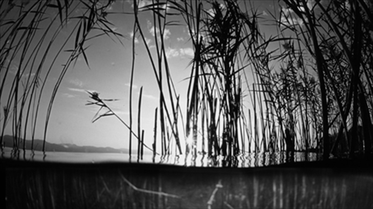 poiisi-kai-mousiki-xeri-xeri-sto-beton7