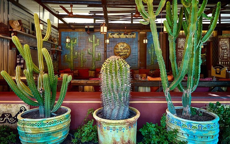 amigos-katiforisame-sti-glufada-gia-na-fonaksoume-viva-mexico