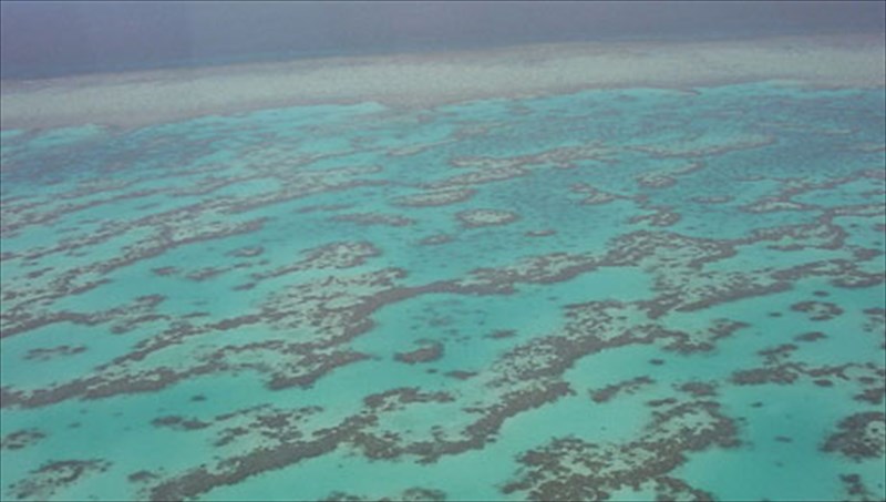 bazoume-plori-gia-9-mustikes-thalasses-mustikes-thalasses