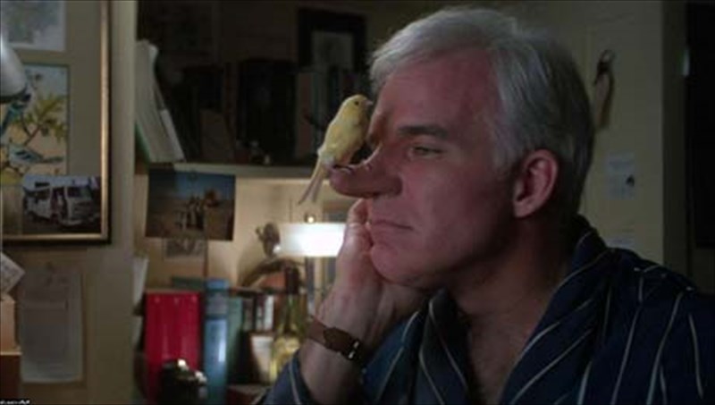 oi-pio-diasimes-mutes-gia-oskar