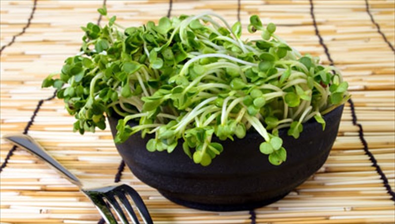 10-tropoi-gia-na-apobalete-tis-toksines-apo-ton-organismo-sas