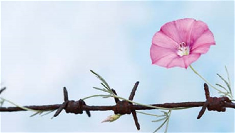 manifesto-skepsis-gia-tin-eksodo-apo-tin-krisi