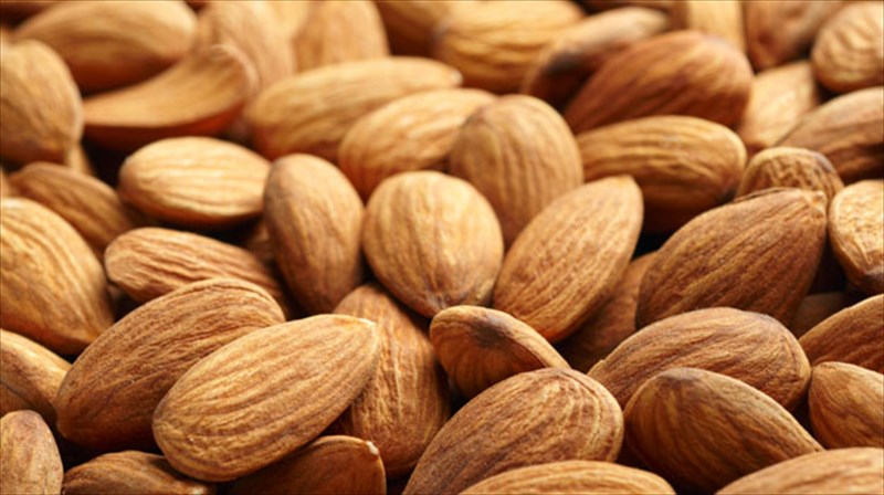 aspida-kata-tis-gripis-ta-amugdala