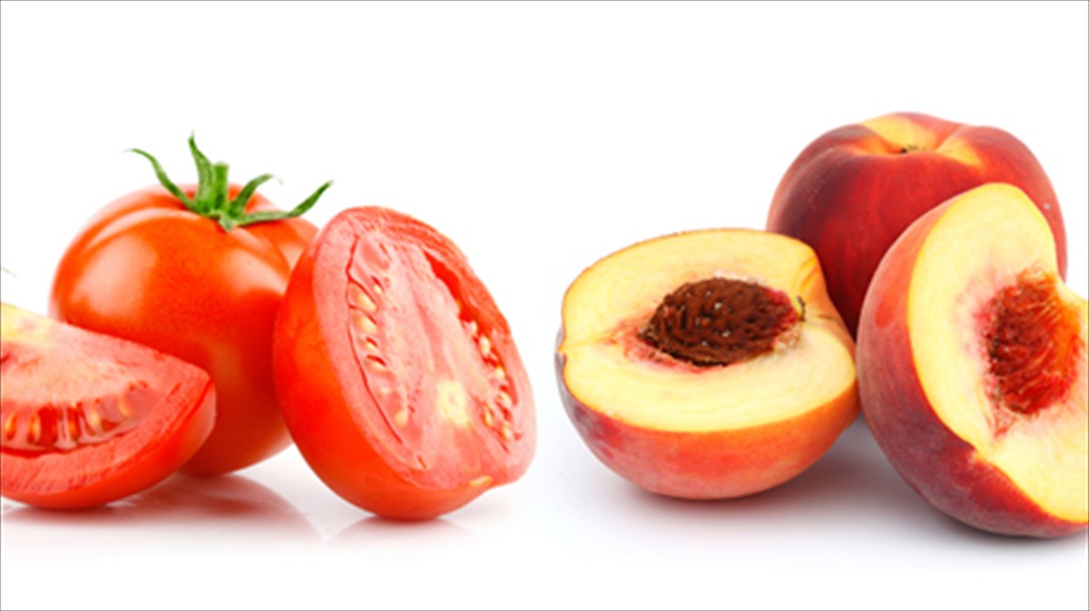 kalokairines-geuseis-ton-iounio-sti-spondi