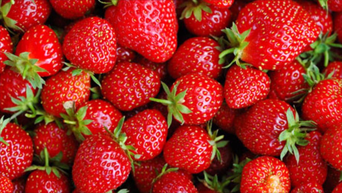 ola-osa-prepei-na-kserete-gia-ta-kalokairina-frouta