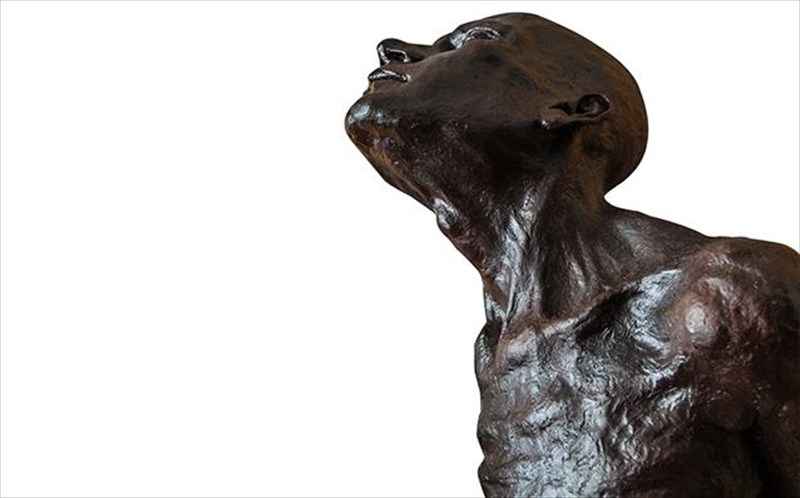 bios-aniatos-ena-taksidi-stis-pathogeneiestou-biou-apo-ti-gennisi-os-ti-stigmi-tis-megalis-allagis