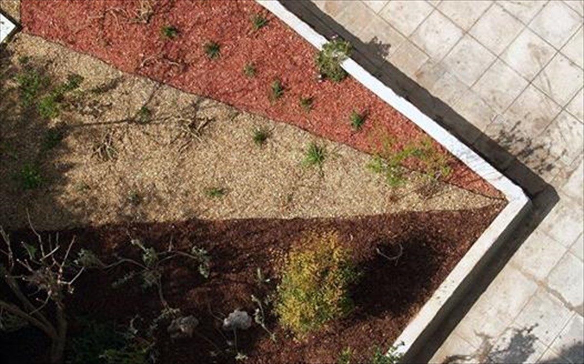 pezodromisi-athens-trigono