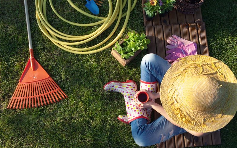 kipouriki-me-stil-kai-mustika