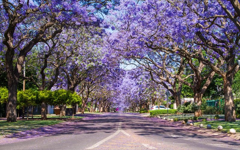 fotografiko-taksidi-stous-pio-anthismenous-dromous-tou-kosmou