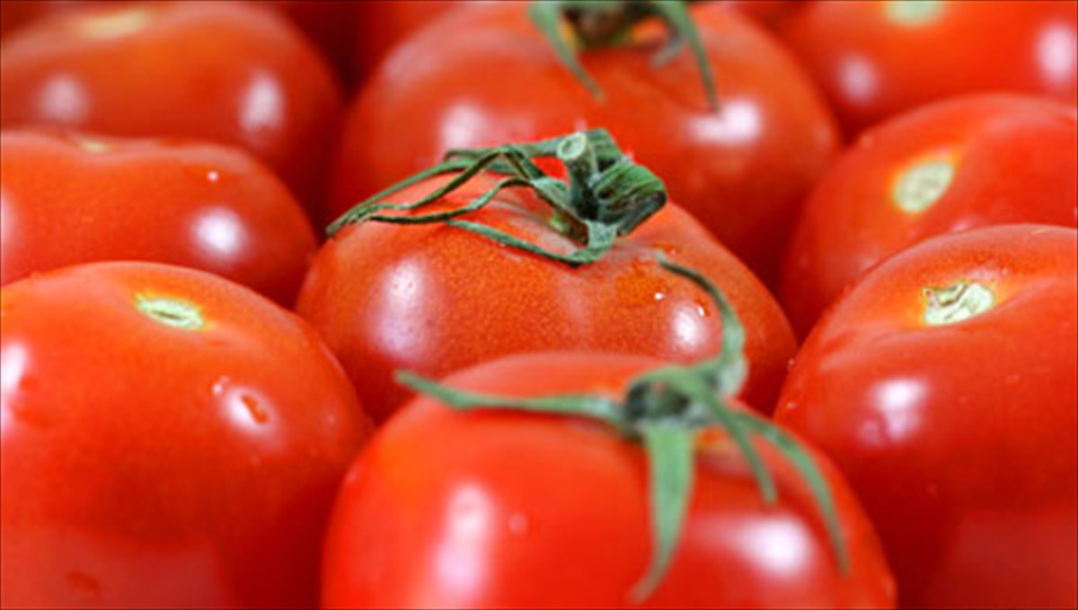 oi-11-trofes-pou-smileuoun-to-soma